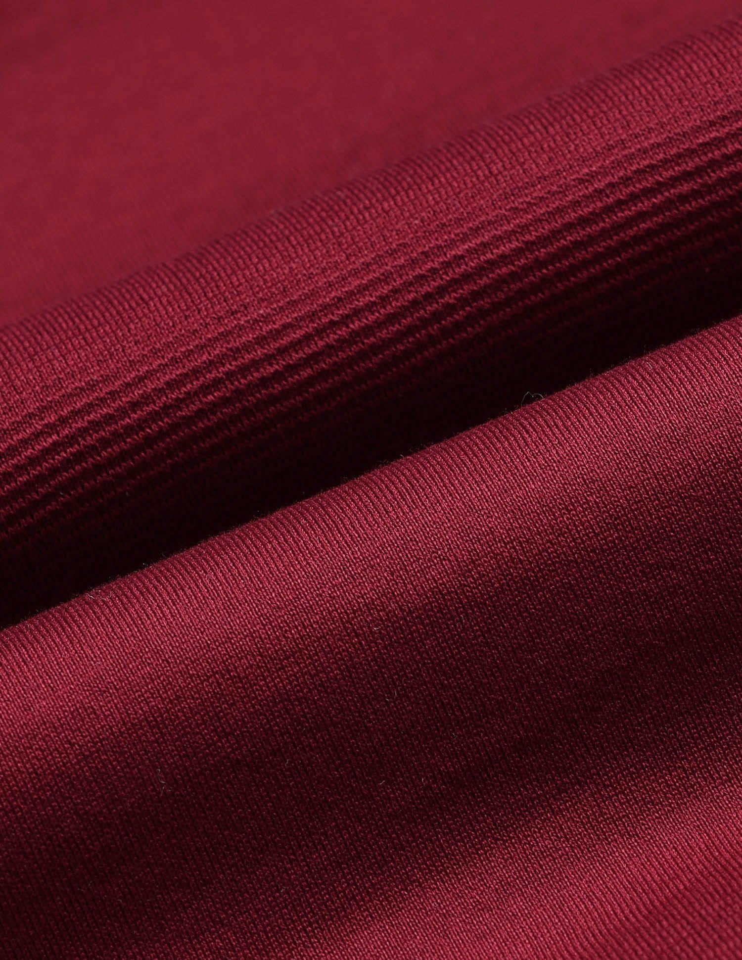 Regular Solid Slim Fit Polo Shirt
