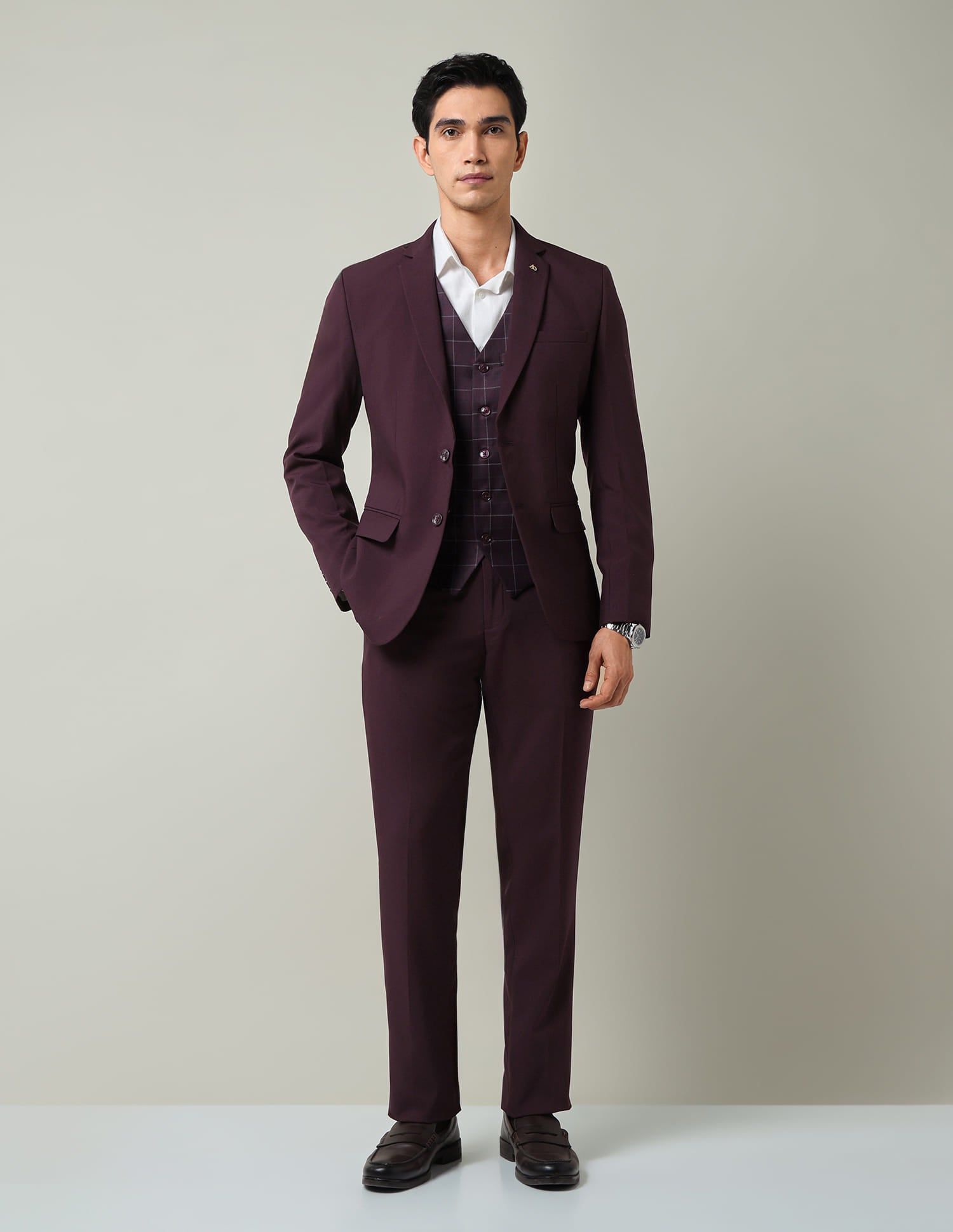 Style Elevated Solid Regular Fit Suit