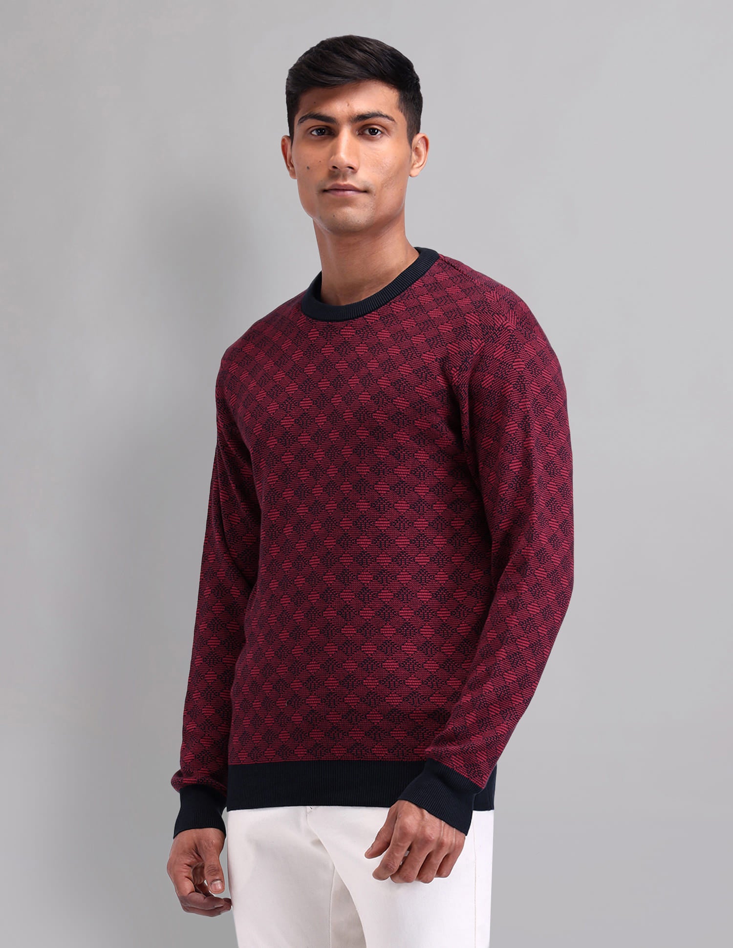 Elevated Essential Modern Slim Fit Patterned Knit Sweater