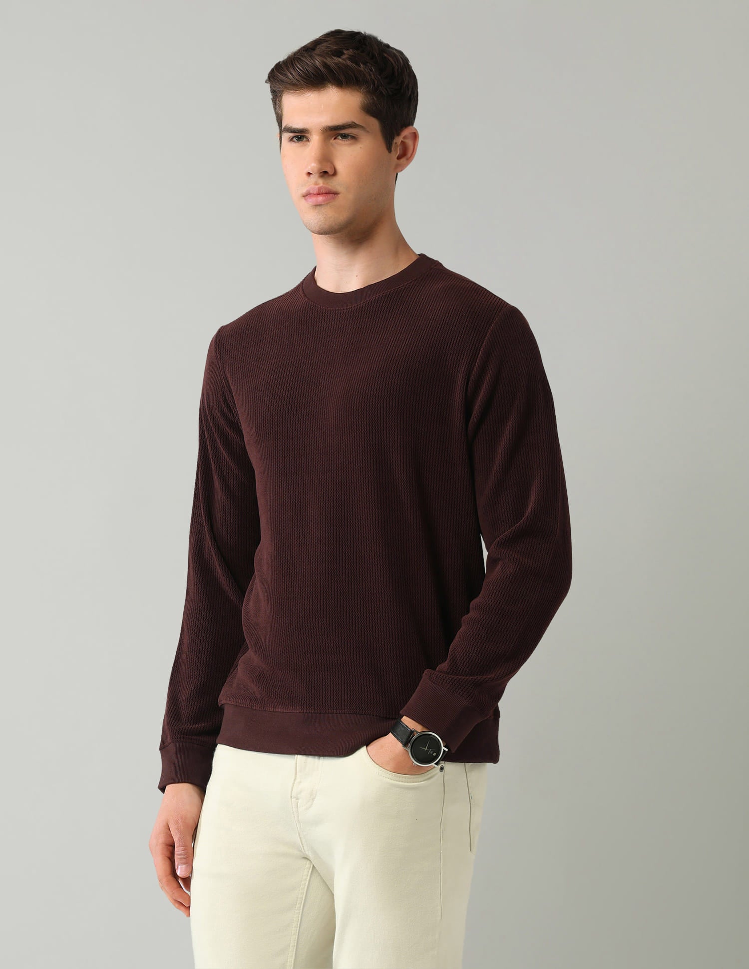 Textured Regular Fit Sweatshirt