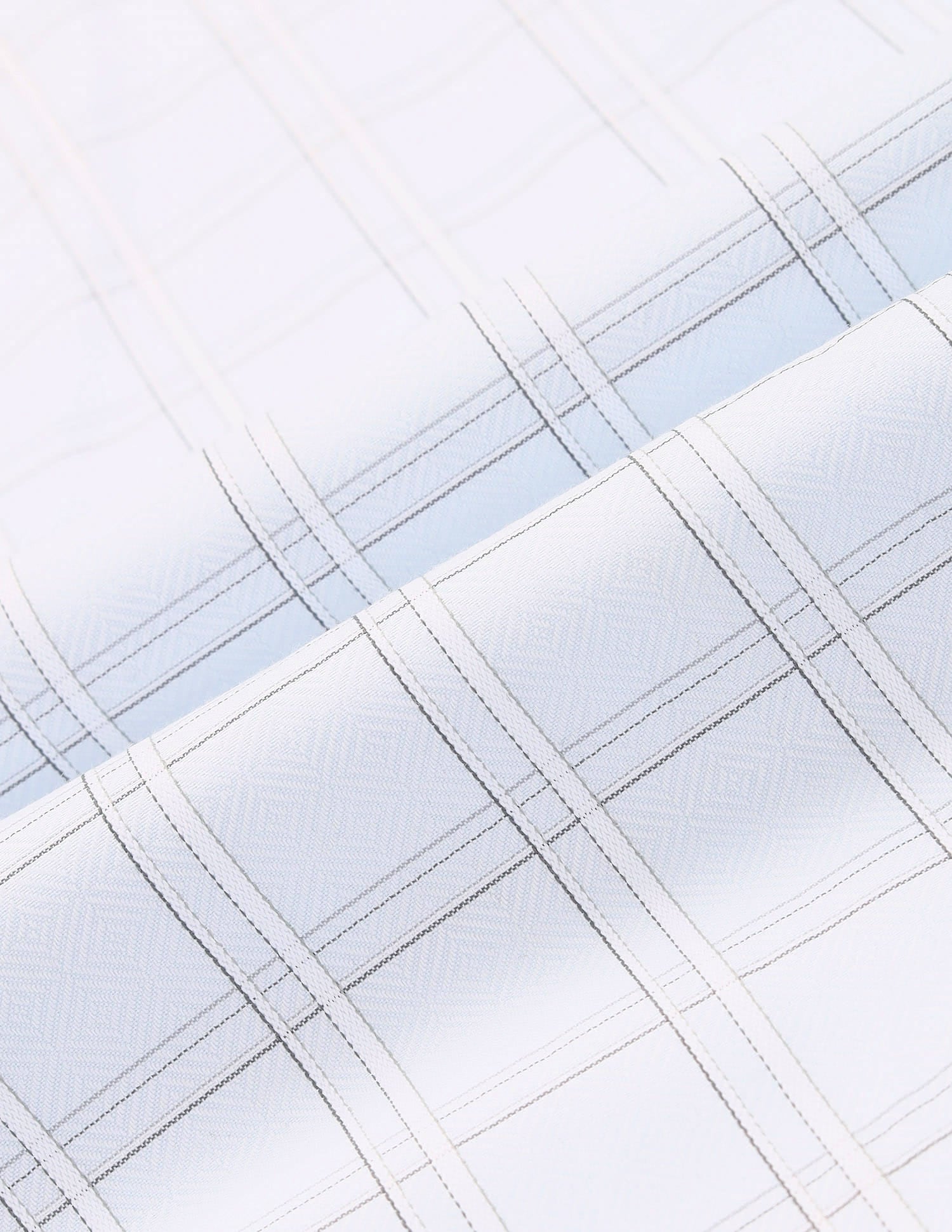Sleek & Modern  Regular Fit Checked Twill Shirt