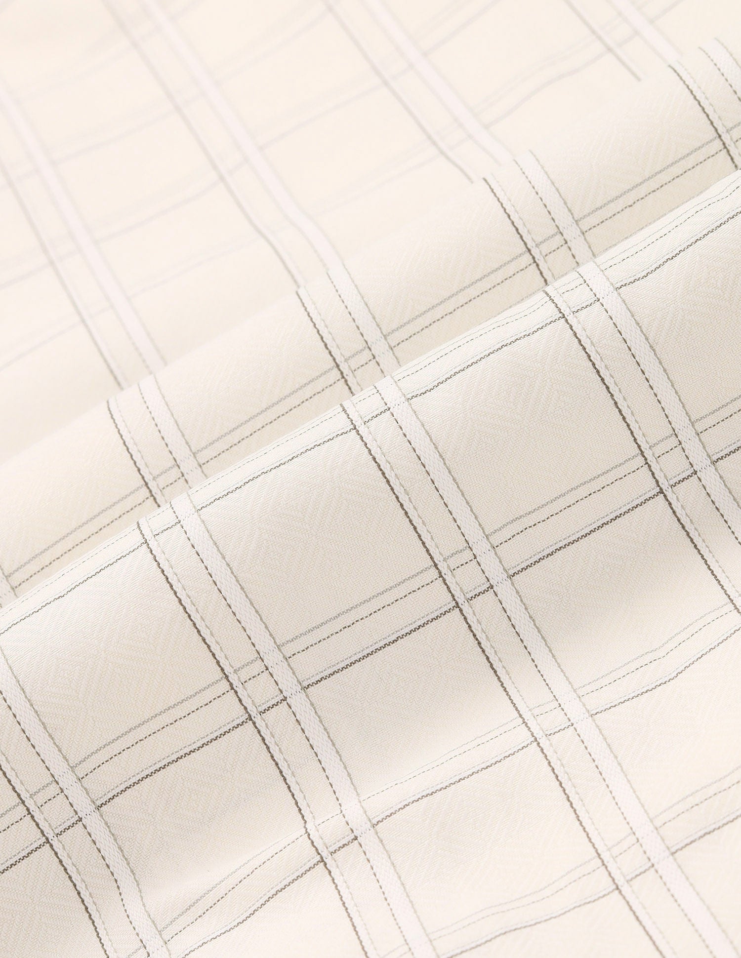 Sleek & Modern  Regular Fit Checked Twill Shirt