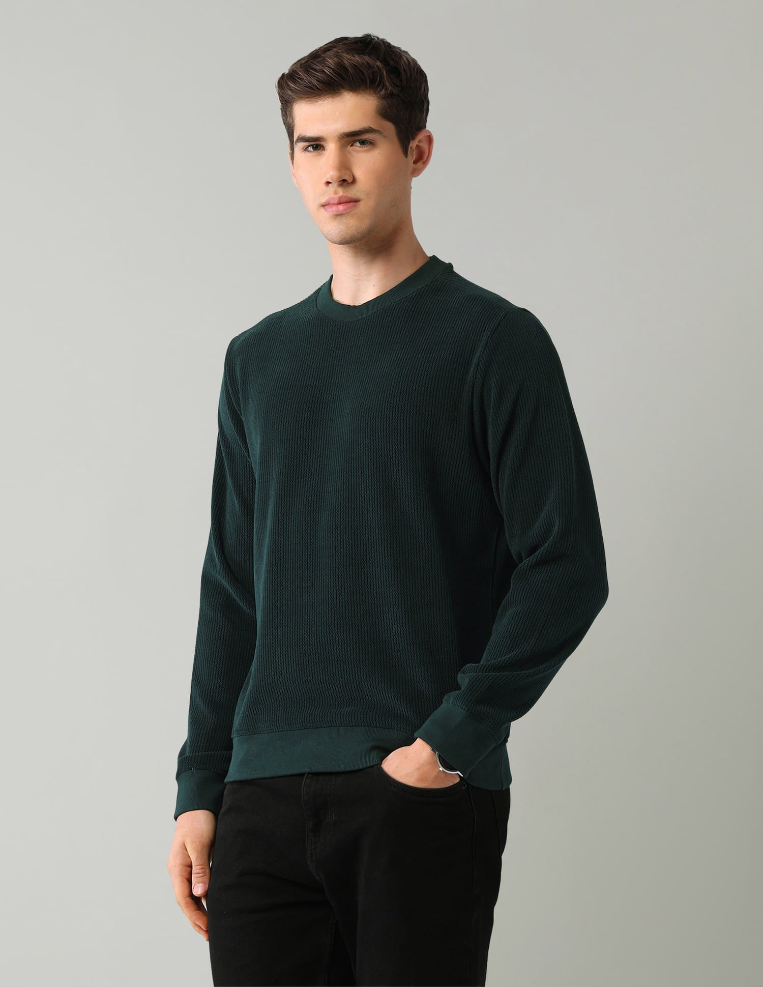 Textured Regular Fit Sweatshirt