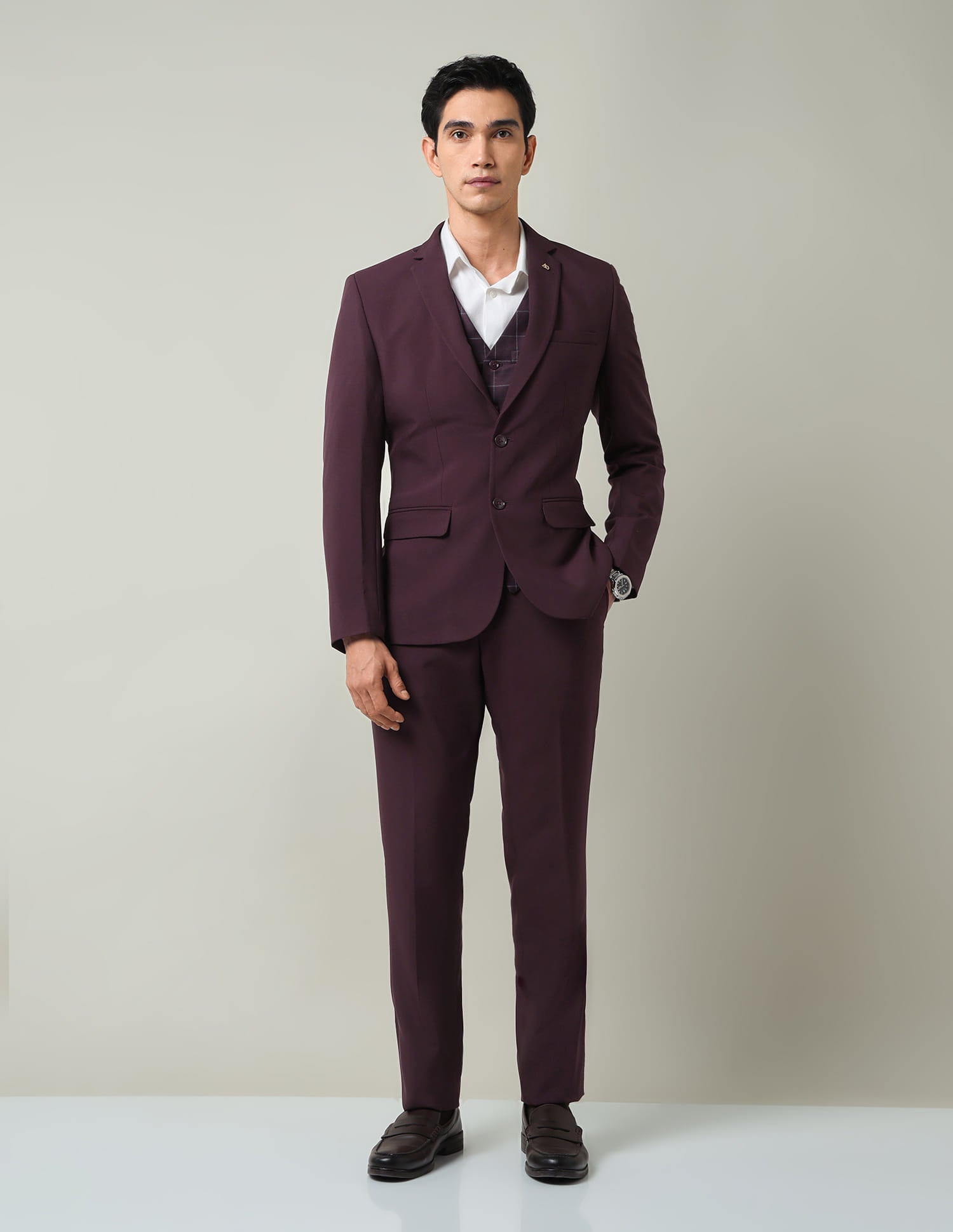 Style Elevated Solid Regular Fit Suit